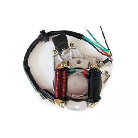 Magnete a 2 Bobine Quad 4T