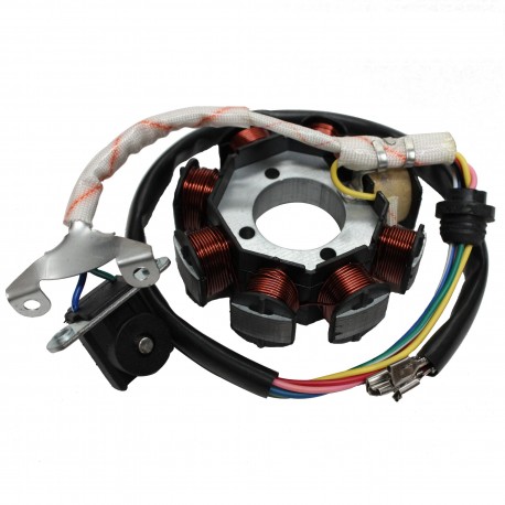 STATORE A 8 BOBINE PIT BIKE