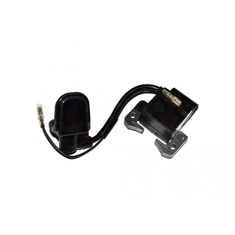 BOBINA PER MINIMOTO 49cc 2T