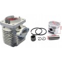 KIT PISTONE E CILINDRO 49cc 2T MINIMOTO