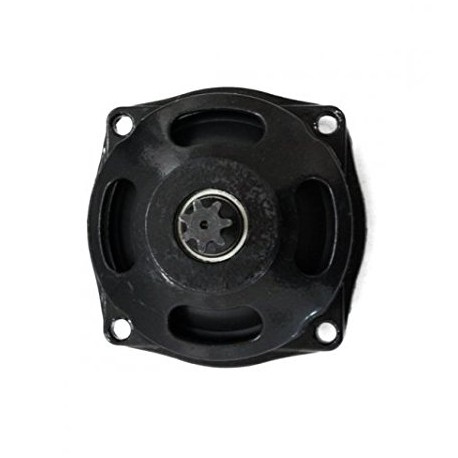 CAMPANA PIGNONE Quad 2 Tempi